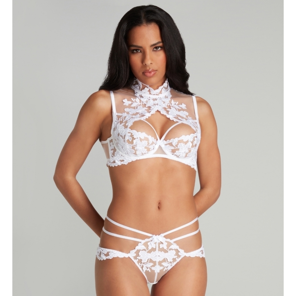 Darlia Bra and Brief Set
